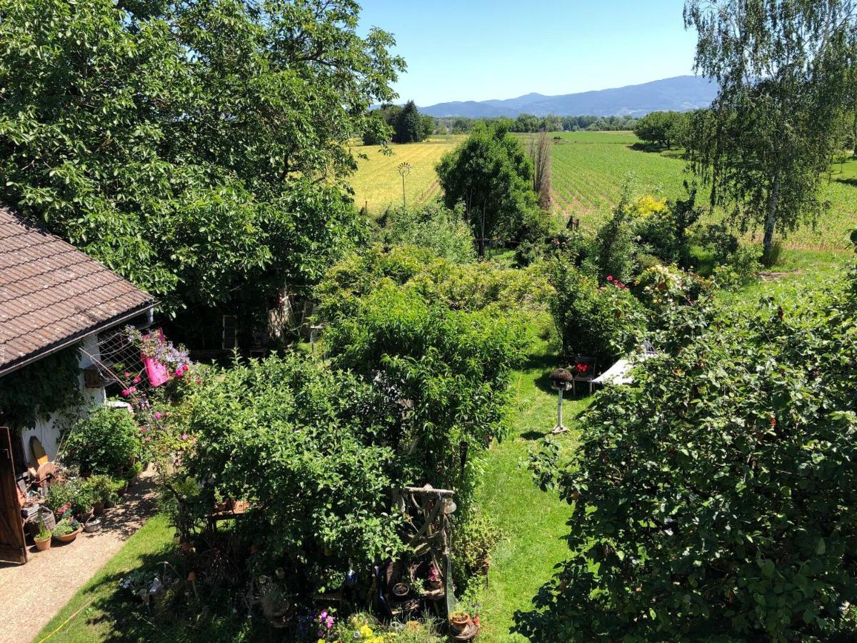 Appartement Haus Schwarzwaldblick à Achern Extérieur photo
