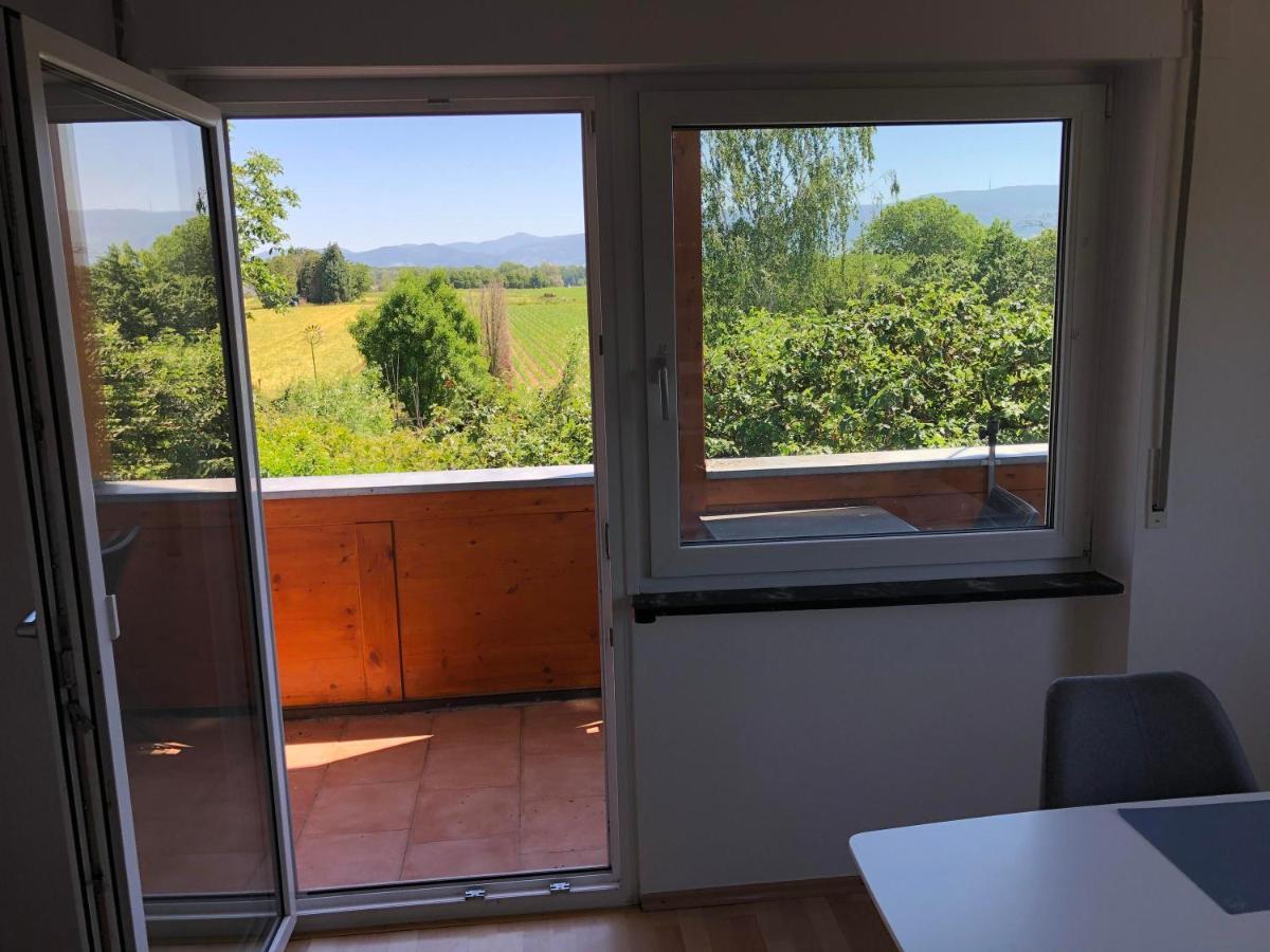 Appartement Haus Schwarzwaldblick à Achern Extérieur photo